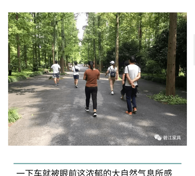 碧江員工崇明一日游 碧江員工崇明島一日游