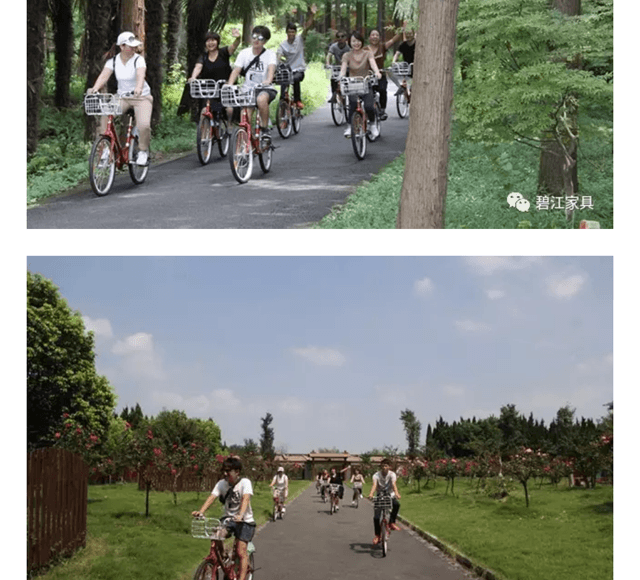 碧江員工崇明一日游 碧江員工崇明島一日游