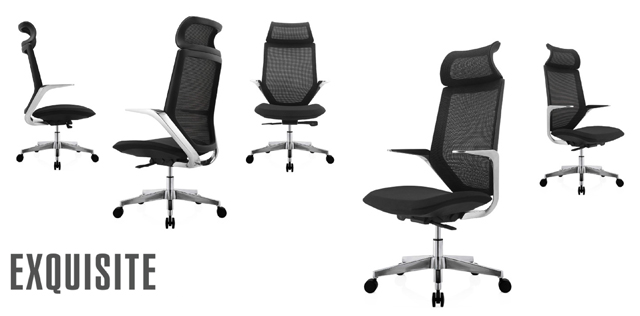 人體工學椅 人體工學椅