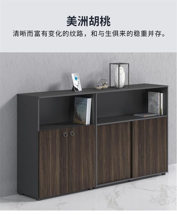 辦公室落地儲物小柜落地中柜矮公司檔案資料收納文件柜